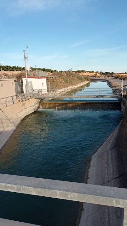 Bracos Alemanes De Rio Seco en Orihuela Costa