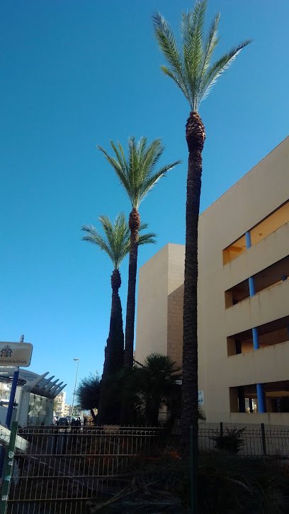 Carlota JardineríA/Piscinas en Orihuela Costa