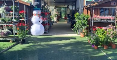 Servicios de Jardinería en Orihuela Costa 6 Centro De JardineríA El Pilar en Orihuela Costa