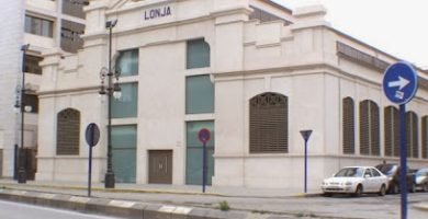 Escuelas de Música en Orihuela Costa 7 Conservatorio Profesional De MúSica en Orihuela Costa