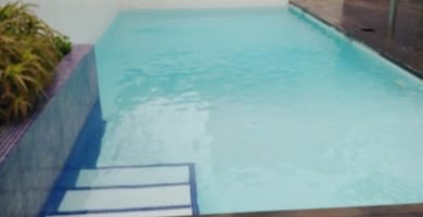 Servicios de Jardinería en Orihuela Costa 5 D&C Jardines en Orihuela Costa