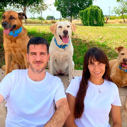 Happy Guau - Adiestramiento Canino en Orihuela Costa