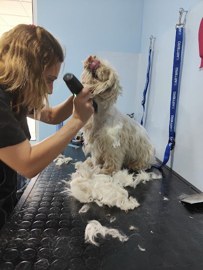 I Love Dog Wash Orihuela Costa en Orihuela Costa