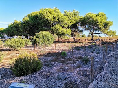 JardíN BotáNico 1 JardíN BotáNico en Orihuela Costa