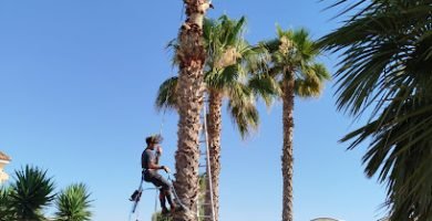 JardineríA David en Orihuela Costa