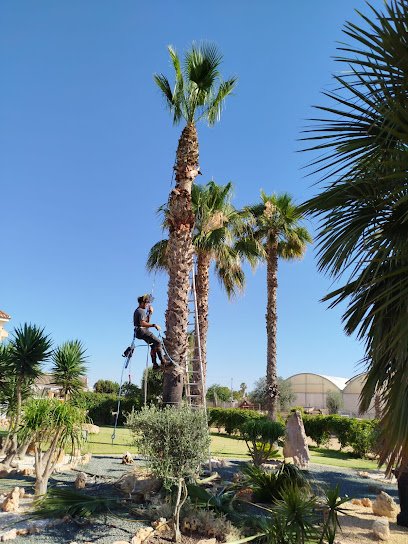 JardineríA David en Orihuela Costa