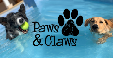 Residencias Caninas en Orihuela Costa 2 Paws & Claws - Pet Hotel And Daycare en Orihuela Costa
