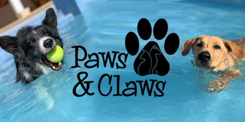 Paws & Claws - Pet Hotel And Daycare 1 Paws & Claws - Pet Hotel And Daycare en Orihuela Costa